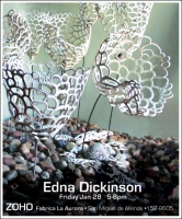 Installation,  Ceramic, mixed media